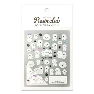 ���W���N���u �r�V�����t���[�[ (����) RC-BIC-101 �C���O�J�����g