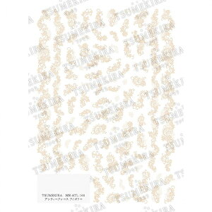 TSUMEKIRA(cL) lCV[ AeB[N[X AC{[ NN-ATL-103 COJg