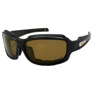 RIDEZ ProtectionEyewearRS904 BR/GPBRΌ RIDEZ uEt[/uEY [ACEFA]