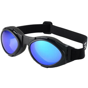 RIDEZ GAS GOGGLE REVO RG-10052 RIDEZ [oCNpS[O]