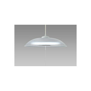 �z�^���N�X HCDD1253-X [LED�y���_���g���C�g(�`12��/�����F) ]