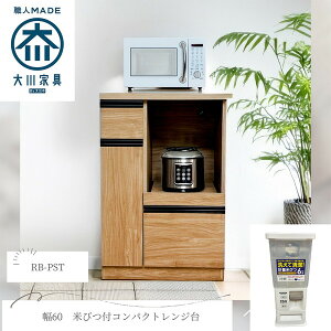 RB-PST 㓡ƋY pX^ [W (60)] [J[
