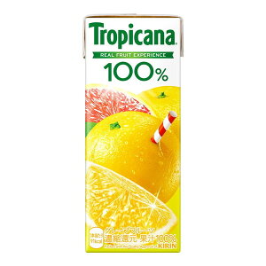 gsJ[i 100%O[vt[c 250ml×24 L [J[