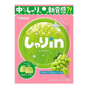 JoHi Jo inO~ }XJbg\[_ 52g×10 [J[ v[g Mtg