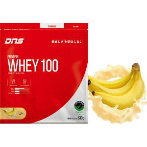 DNS PW100630 BNN veCzGC100 630g oiiI DNS