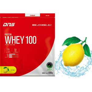 DNS PW100630 LEM veCzGC100 630g  DNS