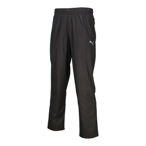 v[} X|[cEGA TAD bVCi[ E[uPT ubN M 528016 01 PUMA