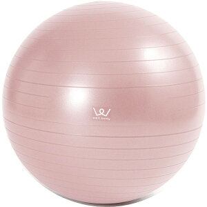 WBF055 GNTTCY{[55cm sN ACR