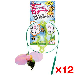 yGg[P10{!2420:00-279:59z y12ZbgzhM[} nV Lт[ ~co`