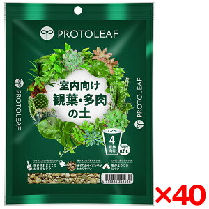 yGg[P10{!2420:00-279:59z y40Zbgzvg[t ϗtE̓y 4p [J[