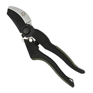 DCM �͂�����₷�����}�� GF-ANVIL DCM