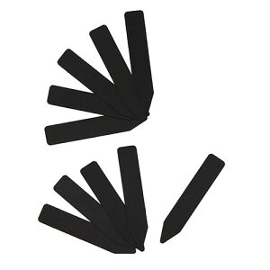 ZteB-3 K[fx 10 6cm Y