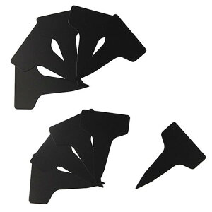 ZteB-3 K[fxY^10 `E Y