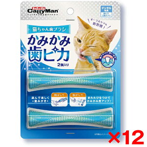 yGg[P5{!2020:00-271:59z y12ZbgzhM[} L񎕃uV ݂ݎsJ 2