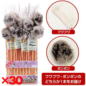 y30ZbgzhM[} L tt||o 1{ (ttE||̂ǂ炩1{̂͂/Is)