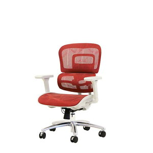 DP-1-W-RD Netforce bh _Ci~NXPro [ItBX`FA (It)] [J[