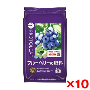 y10Zbgzvg[t u[x[̔엿 2kg