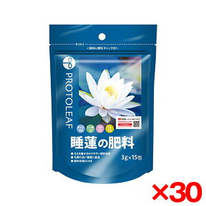 y30Zbgzvg[t @̔엿 15