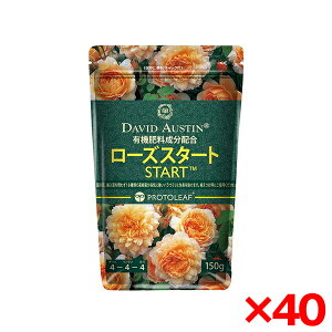 y40Zbgzvg[t frbgI[X` [YX^[g 150g [op|y]