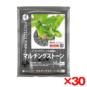 y30Zbgzvg[t }`OXg[(ubN)M 700g [ϗtAp]