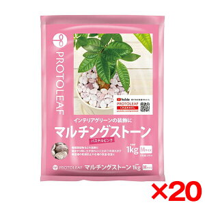 y20Zbgzvg[t }`OXg[(pXesN)M 1Kg [ϗtAp]