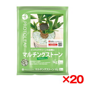 y20Zbgzvg[t }`OXg[(pXeO[)S 1Kg [ϗtAp]