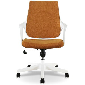 308281 beB`FA pvLIW ։Ƌ [ItBX`FA] [J[