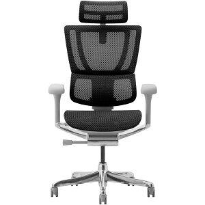 454407 Ergohuman FIT2-HAM-DR-GF-BK ։Ƌ O[t[×ubN [ItBX`FA] [J[