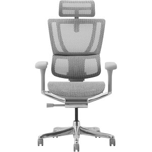 454408 Ergohuman FIT2-HAM-DR-GF-WH ։Ƌ O[t[×zCg [ItBX`FA] [J[