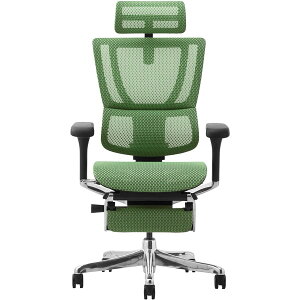 459647 Ergohuman FIT2-LPL-DR-BF-GN ։Ƌ ubNt[×O[ [ItBX`FA] [J[