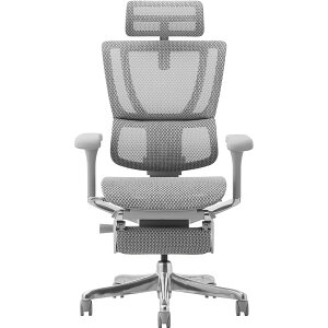 459649 Ergohuman FIT2-LPL-DR-GF-WH �։Ƌ� �O���[�t���[��×�z���C�g [�I�t�B�X�`�F�A] ���[�J�[����