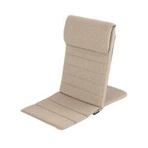 EIDS-BE hEVV x[W [łǂłw (X)]