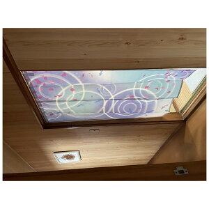 M6245 Fullness ԋ [_uvĝ] [J[