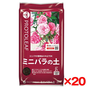 y20Zbgzvg[t ~jo̓y 2L