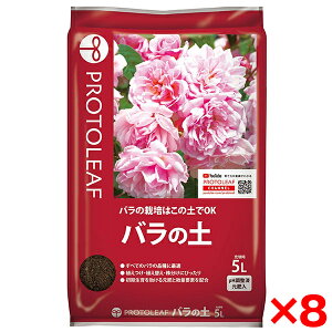 y8Zbgzvg[t o̓y 5L