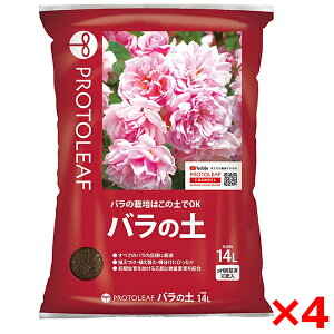 y4Zbgzvg[t o̓y 14L