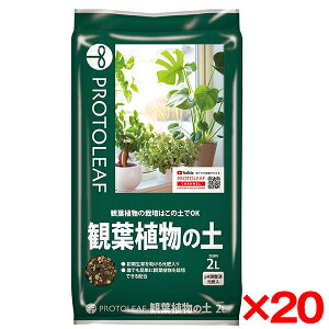 y20Zbgzvg[t ϗtA̓y 2L