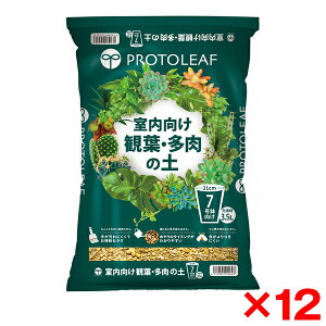 yGg[P5{!2020:00-271:59z y12Zbgzvg[t ϗtE̓y 7p