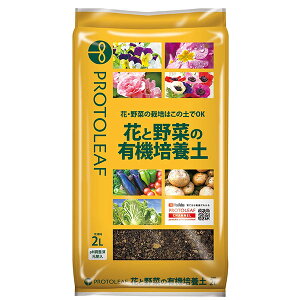 yGg[P5{!2020:00-271:59z ԂƖ؂̗L@|{y 2L vg[t