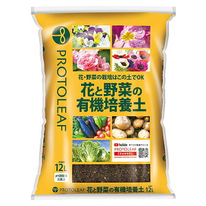 ԂƖ؂̗L@|{y 12L vg[t