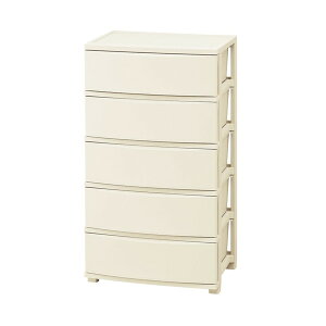 CLN-545 Cgx[W ACXI[} [Ch`FXg 5i] [J[