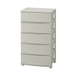 CLN-545 _[NO[ ACXI[} [Ch`FXg 5i] [J[