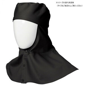 Ka 10017 nږXq MTCY ubN(4) SOWA Ka