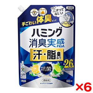 【6個セット】花王 ハミング消臭実感 汗・脂臭タイプ クリアシトラス 930ml
