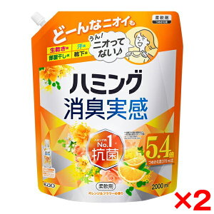 y2Zbgzԉ n~OL IW&t[̍ ߂p 2.0L