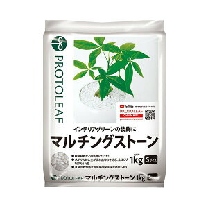 }`OXg[S 1kg vg[t [ϗtAp]