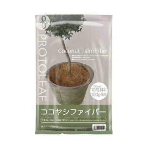 RRVt@Co[ 100g vg[t [ϗtAp]