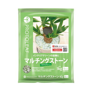 }`OXg[(pXeO[)S 1Kg vg[t [ϗtAp]