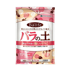 oCt Balife o̓y 12L vg[t