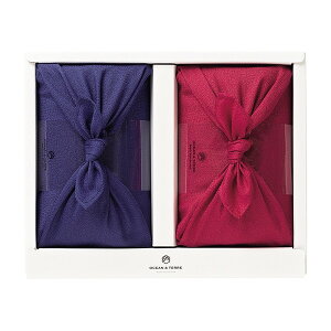 TSUTSUMI ̌bA A656 OCEAN&TERRE [J[